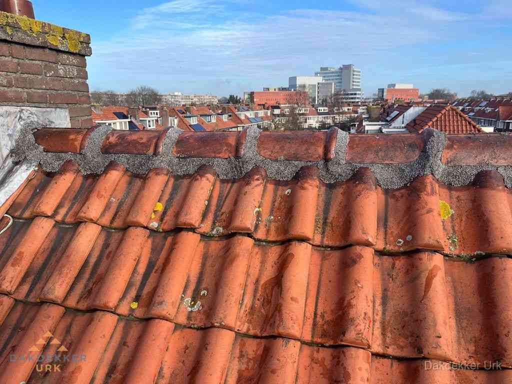 Nieuw bitumen plat dak met uitzicht over woonwijk in Urk