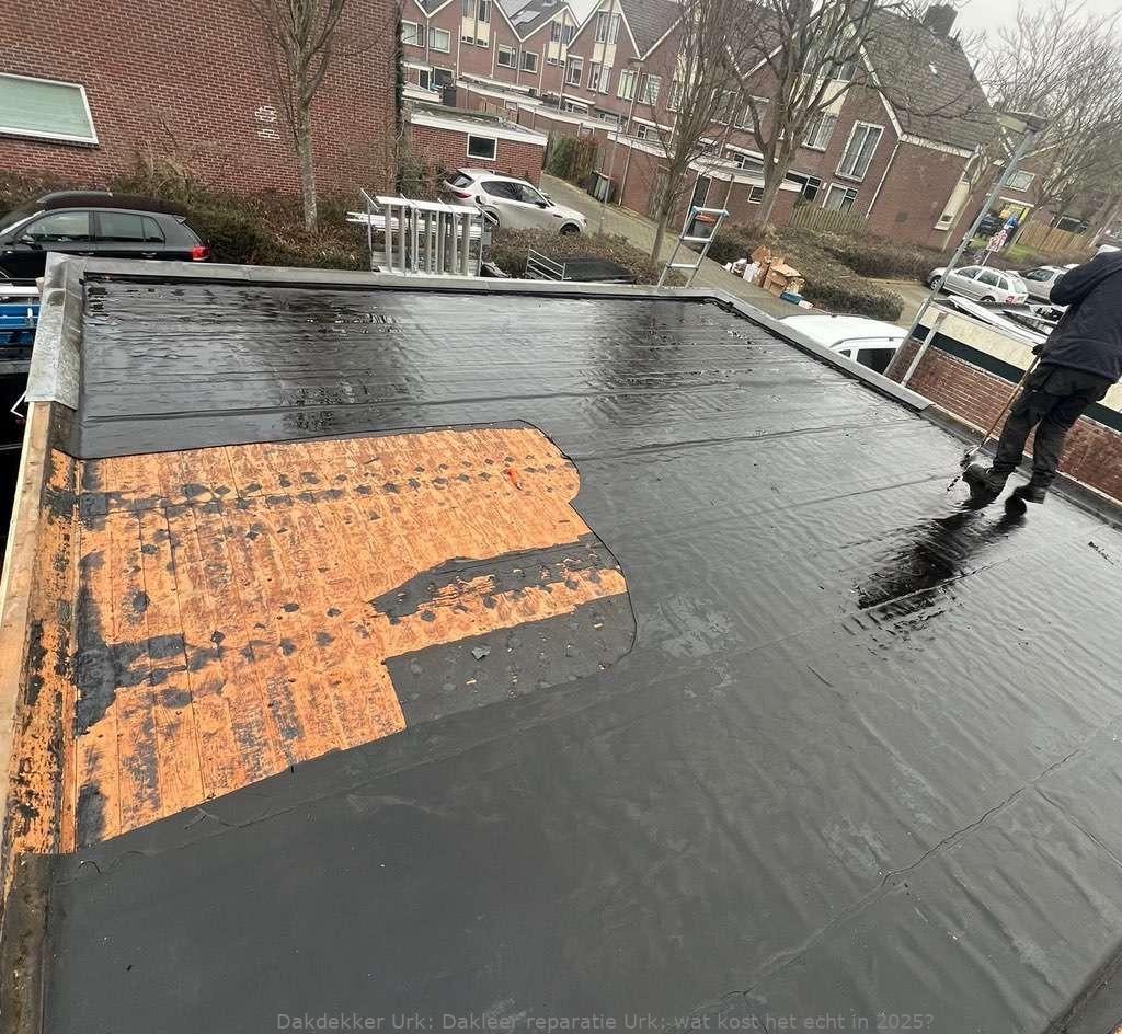 Dakleer Reparatie Urk