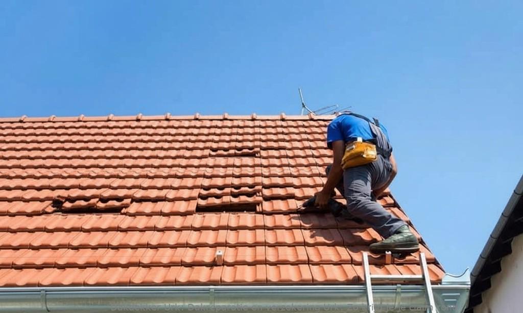 Dakreparatie En Verzekering Urk