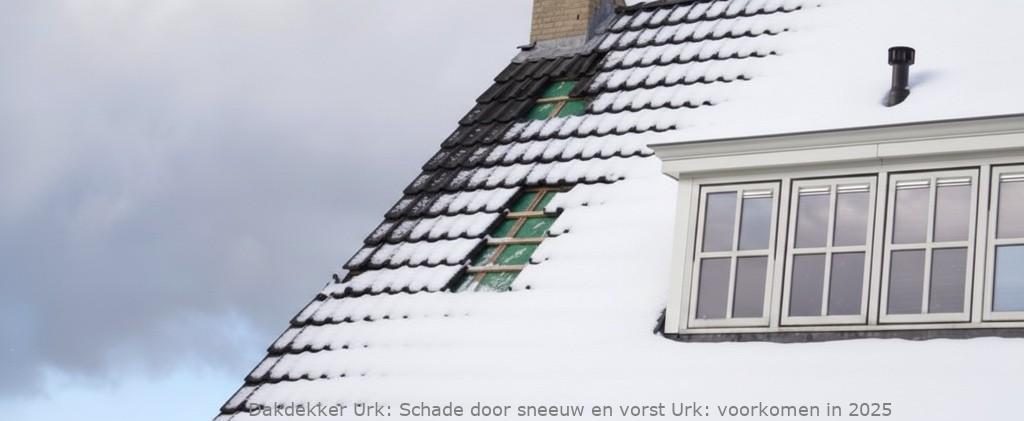 Schade Door Sneeuw En Vorst Urk